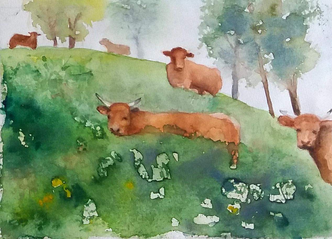 Kokullen på bete. Akvarell 14x19 cm. I privat ägo.