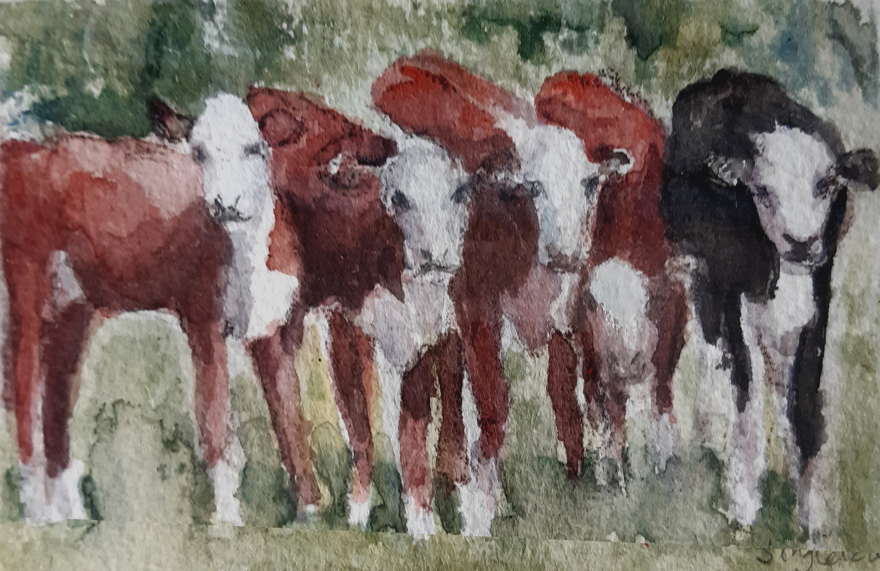 Kossor på rad. Akvarell 20x30 cm. I privat ägo