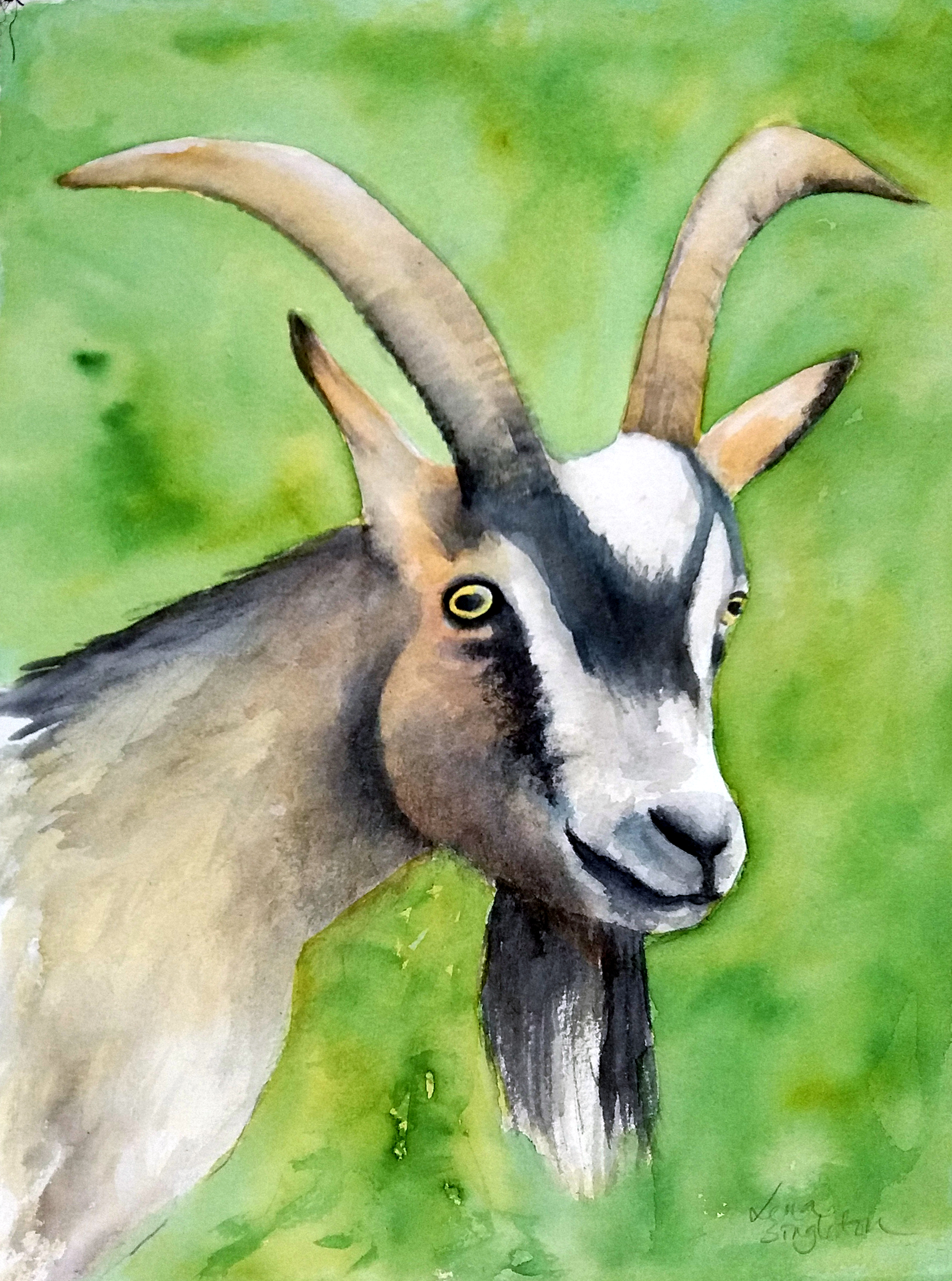 Sture. Akvarell 20x30 cm. I privat ägo.